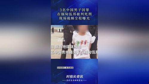 缅甸佤邦爆料视频大全,爆料视频大全背后的真实故事 第3张 缅甸佤邦爆料视频大全,爆料视频大全背后的真实故事 第3张