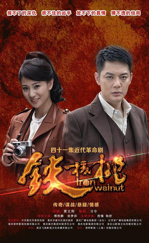 铁核桃电视剧在线观看,揭秘抗战岁月中的传奇英雄