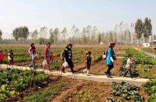 农场西南农庄爆料视频,农场爆料视频带你探秘田园生活 第3张 农场西南农庄爆料视频,农场爆料视频带你探秘田园生活 第3张