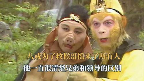 猴哥爆料八戒车库视频播放,八戒车库视频幕后真相大曝光！  第3张